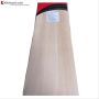 MRF Typhoon Kashmir Willow Cricket Bat