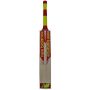 New Balance TC 560 Plus  English Willow Cricket Bat