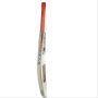 New Balance DC 380+ Kashmir Willow Cricket Bat