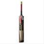 New Balance TC 550+ English Willow Cricket Bat