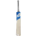 New Balance TC 800 i Max English Willow Cricket Bat (Standard Size Short Handle)