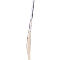 New Balance TC 900i Max English Willow Cricket Bat (Standard Size Short Handle)