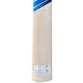 New Balance TC 900i Max English Willow Cricket Bat (Standard Size Short Handle)