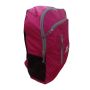 Nivia 5168 PG Casual Backpack Pink and Gray