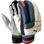 Puma Evo 6 Cricket Batting Gloves Blue and White
