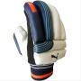 Puma Evo 6 Cricket Batting Gloves Blue and White