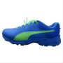 Puma Spike 19.2 Elektro Green Nrgy and Blue