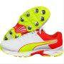 Puma 19.2 Spike Cricket Shoes Red Yellow White