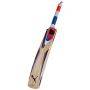 Puma Pulse 5000 English Willow Cricket Bat Standard Size