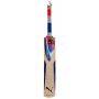 Puma Pulse 5000 English Willow Cricket Bat Standard Size