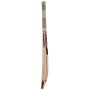 Puma Platinum 5000 English Willow Cricket Bat Standard Size