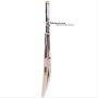 Puma EVO POWER 1 SE English Willow Cricket Bat Color Orange