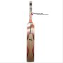 Puma EVO SPEED 4 English Willow Cricket Bat