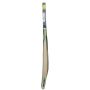 Puma Pulse GT Kashmir Willow Cricket Bat Standard Size