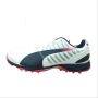 Puma Evo Speed Full Spike 1.3  Cricket Shoes