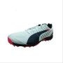 Puma Evo Speed Full Spike 1.3  Cricket Shoes