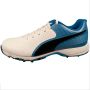 Puma 19 FH Rubber Cricket Shoes White-Blue