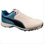 Puma 19 FH Rubber Cricket Shoes White-Blue