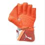 Puma Evo 2 Wicket Keeping Gloves