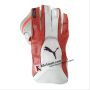 Puma Evo 2 Wicket Keeping Gloves