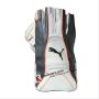Puma Evo Se Wicket Keeping Gloves White
