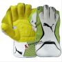 Puma Evo 3 Wicket Keeping Gloves White and Lime