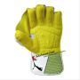 Puma Evo 3 Wicket Keeping Gloves White and Lime
