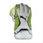 Puma Evo 3 Wicket Keeping Gloves White and Lime