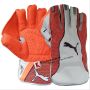Puma Evo 3 Wicket Keeping Gloves White and Orange