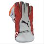 Puma Evo 3 Wicket Keeping Gloves White and Orange