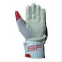 SF Warrior Batting Gloves