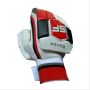 SF Warrior Batting Gloves