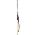SF Cadillac 555 English Willow Cricket Bat (Standard Size Short Handle)