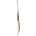 SF Cadillac 999 English Willow Cricket Bat (Standard Size Short Handle)