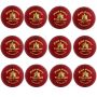 SF Match Special Cricket Ball 12 Ball Set