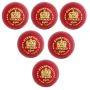 SF Swinger Cricket Ball 6 Ball Set