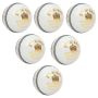 SF Test Special White Cricket Ball 6 Ball Set