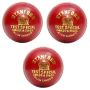 SF Test Special Red Cricket Ball 3 Ball Set