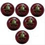SF True Test Cricket Ball 6 Ball Set