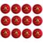 SF Bouncer Cricket Ball 12 Ball Set