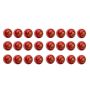 SF Test International Red Cricket Ball 24 Ball Set