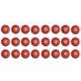 SF Swinger Cricket Ball 24 Ball Set
