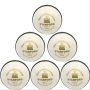 SF Test International White Cricket Ball 6 Ball Set