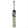 SF Proface Terminator 3 Star English Willow Cricket Bat