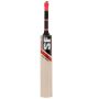 SF Cricket Bat English Willow Va 900 Size no 6 Standard Size