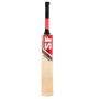 SF Platinum Stanford Cricket Bat
