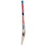SF Icon Stanford Cricket Bat