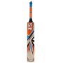 SF Warrior Stanford Cricket Bat Standard Size
