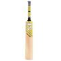 SF Nexzen Cricket Bat Standard Size