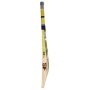 SF Nexzen Cricket Bat Standard Size